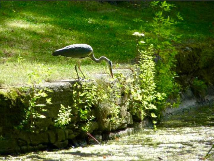 Peniche Alclair Bed & Breakfast Metz Luaran gambar